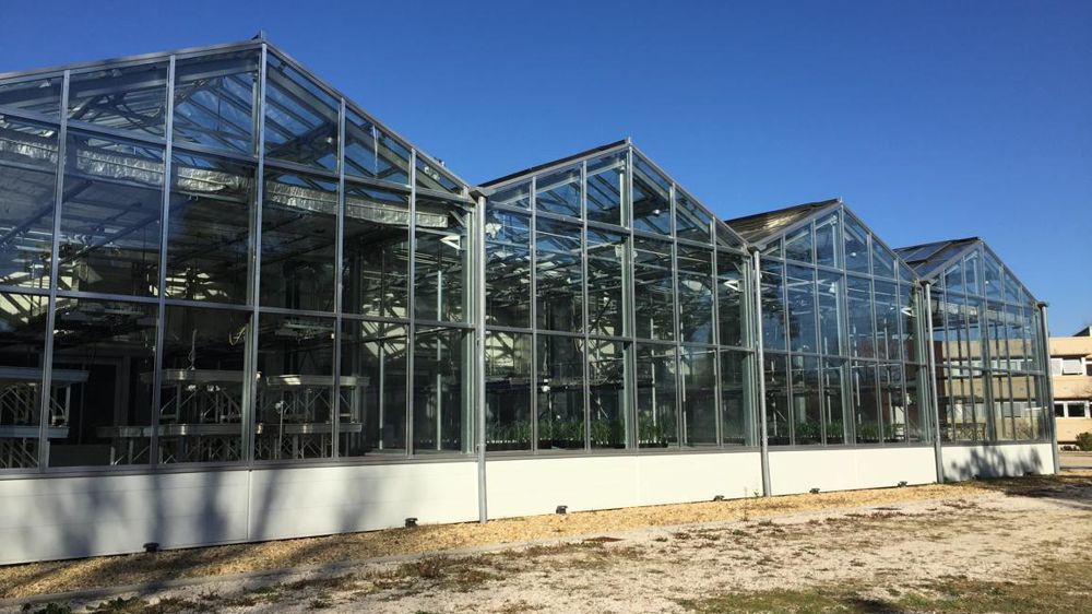L’édition 2019 du symposium GreenSys abordera des thèmes innovants en matière de technologie dans le design et la gestion des serres ©Léna Hespel